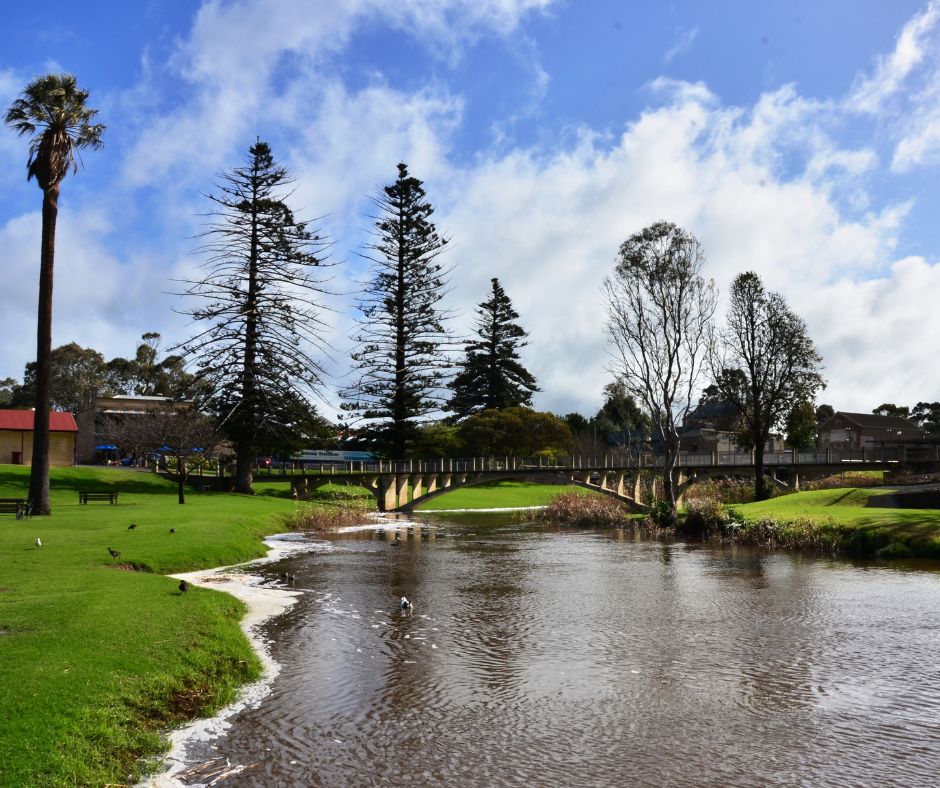 The parklands of Strathalbyn including a lake at the front and pine trees in the background.